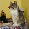 Отзыв от Анжелика Сомова